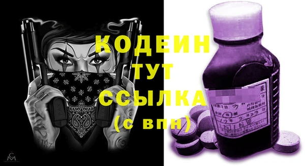 прущий лед Ельня