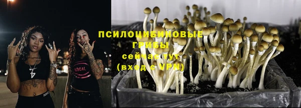 mdpv Елабуга