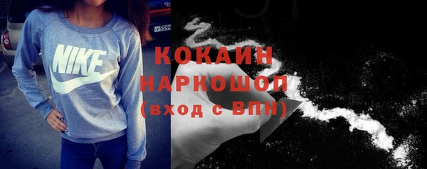 шишки Заволжье