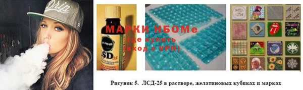 шишки Заволжье