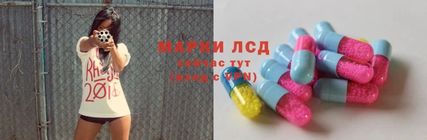 гашик Елизово