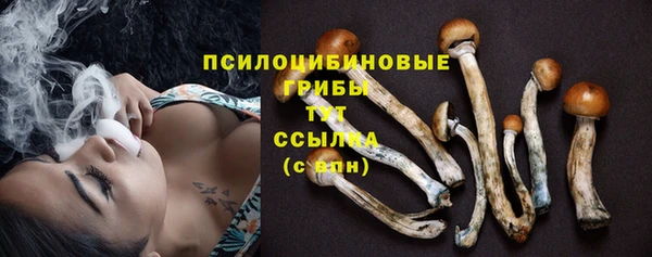 mdpv Елабуга