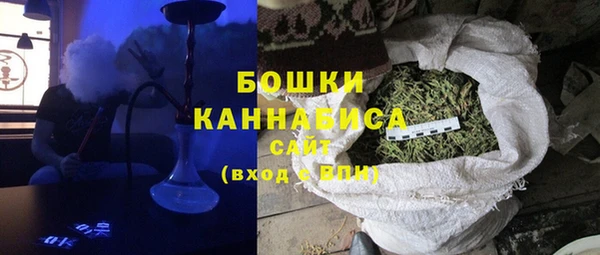 шишки Заволжье