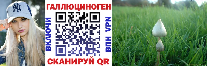 hydra зеркало  Коломна  Псилоцибиновые грибы Psilocybine cubensis 